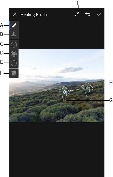 Using The Heal Tool To Remove The Unwanted Object From - Adobe Lightroom (475x744), Png Download