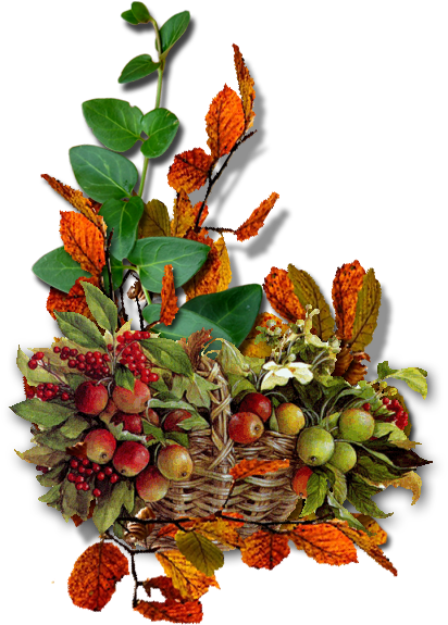 6032303 8f853a8efe 99322689 O2 - Autumn Decorations Png (464x621), Png Download