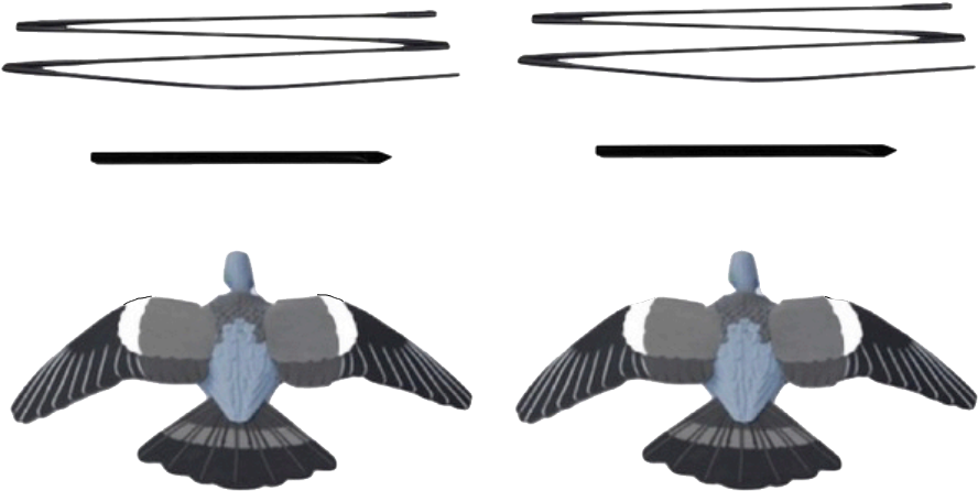 Flying Pigeons2 - Enforcer Flying Decoys (932x503), Png Download