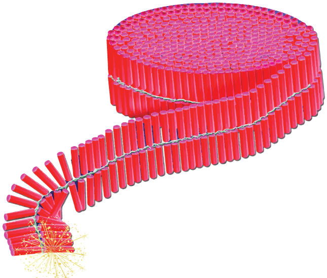 Functions, Diwali Festivels And All Grand Ceremonies - Diwali 10000 Wala Crackers (644x559), Png Download