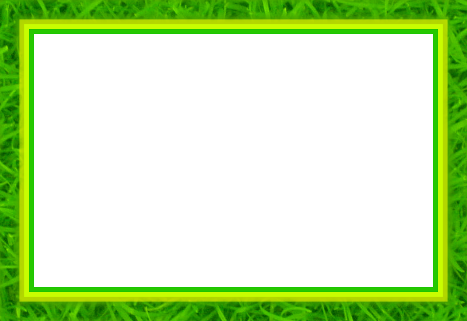 0 - Picture Frame (960x660), Png Download