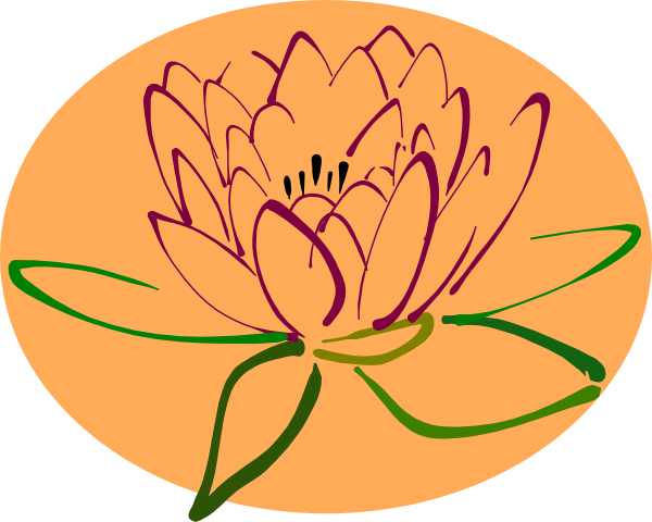 Lotus Oval Clipart Png For Web - Lotus Flower Outline Png (600x480), Png Download