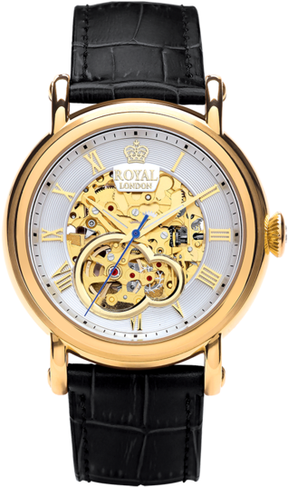 Golden Dial Transparent Watch For Men - Royal London Skeleton Watch (600x600), Png Download