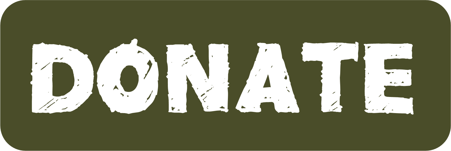 Donate картинка для твича