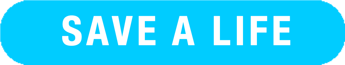 Donate Button - Sign (1200x300), Png Download