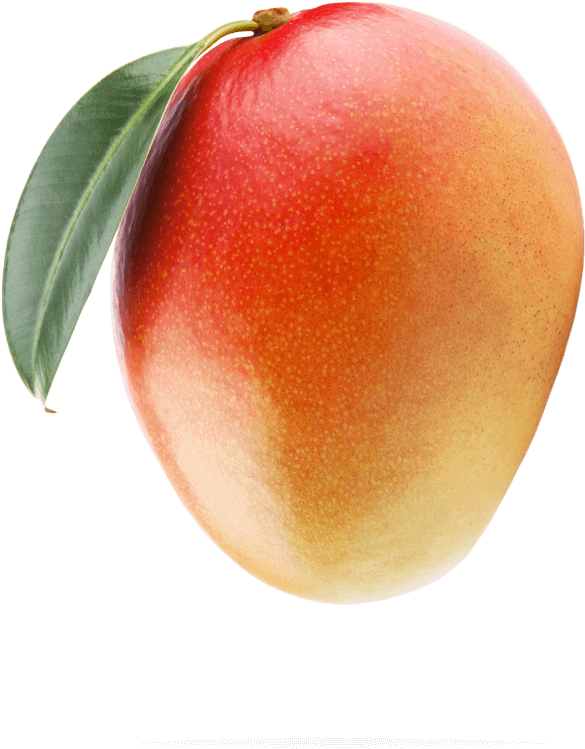 Think Mangos - Mango Transparent (600x833), Png Download