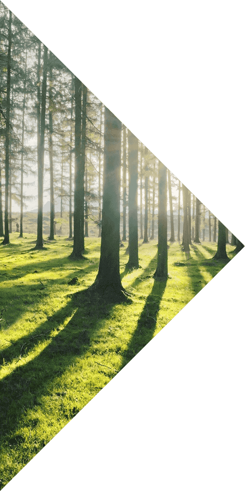 Case Study - Topex Design F70-c-015 Acqua Glass 28" White Glass (502x1005), Png Download