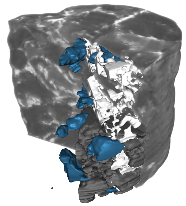 Degradation - Common Fig (930x698), Png Download