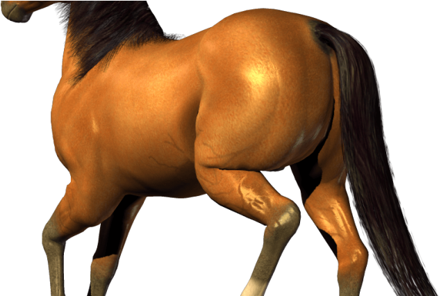Horse Png Image Download Picture Transparent Background - Horse Clipart Transparent Background (680x425), Png Download