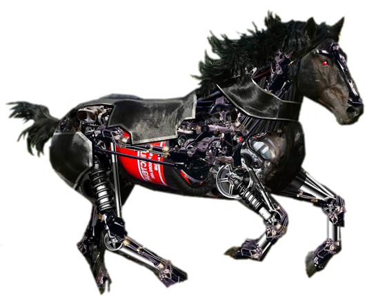Hupoart - Weebly - Com - Chimpanzee Riding A Horse (599x437), Png Download
