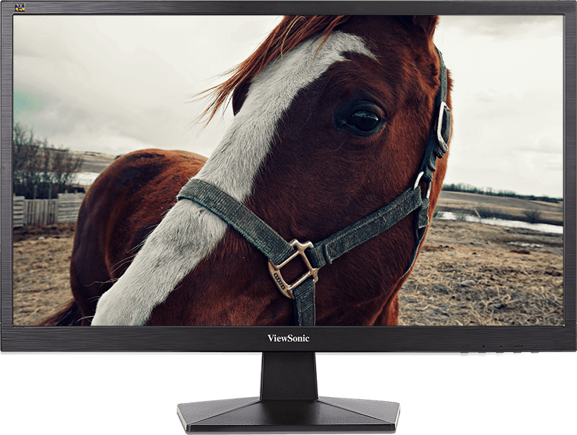 Monitor Showing Resolution - You Should Get Me A Horse (836x630), Png Download