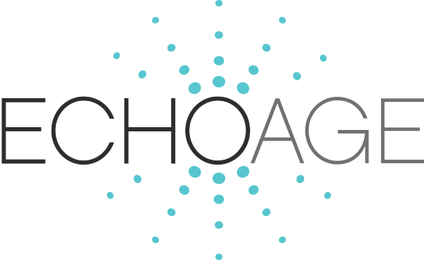 Echo Age (600x368), Png Download