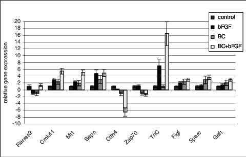 Changes In The Relative Expression Of Genes Related - Gene Expression (480x307), Png Download