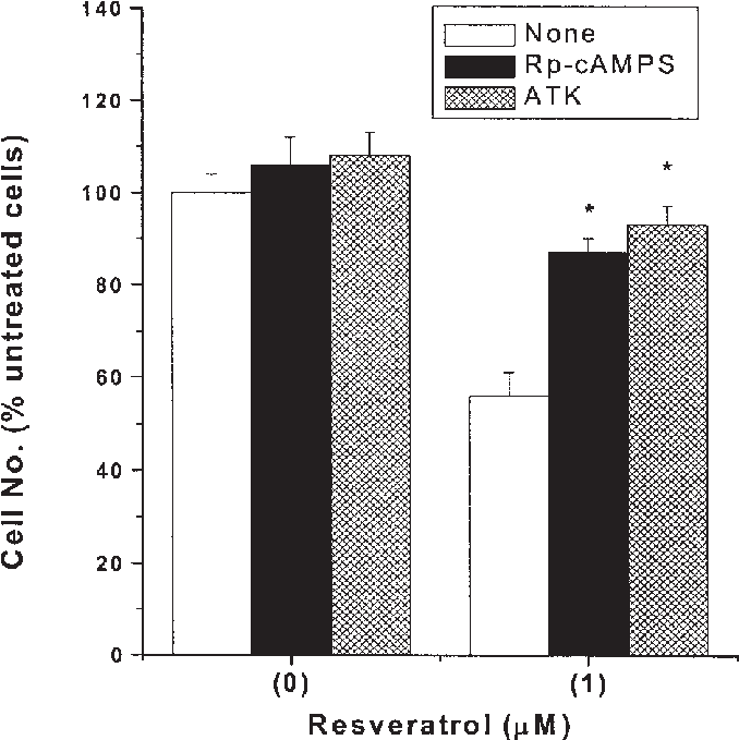 Effects Of The Kinase A Inhibitor , - Matrix Metalloproteinase (686x683), Png Download