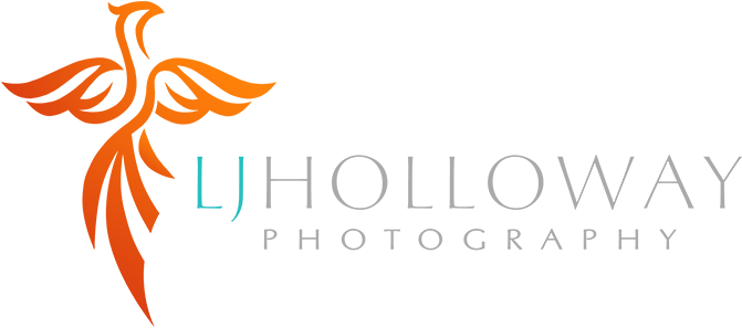 Home - Shop - Photography Brand Logo Transparent (700x318), Png Download