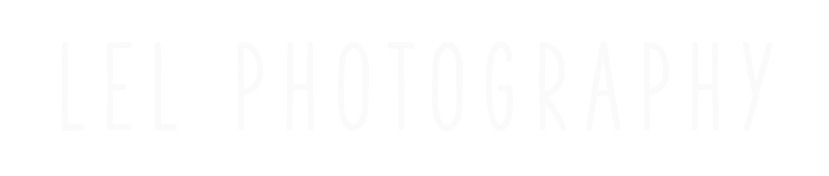 Lel Logo (864x216), Png Download
