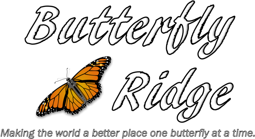 Png Images Butterflies (1000x611), Png Download