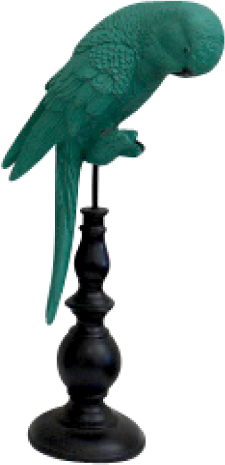 Green Parrot On Stand - Macaw (800x800), Png Download