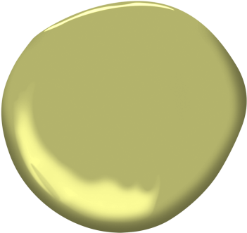 Parrot Green - Circle (360x360), Png Download