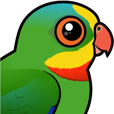 Also Known As - Superb Parrot (440x440), Png Download
