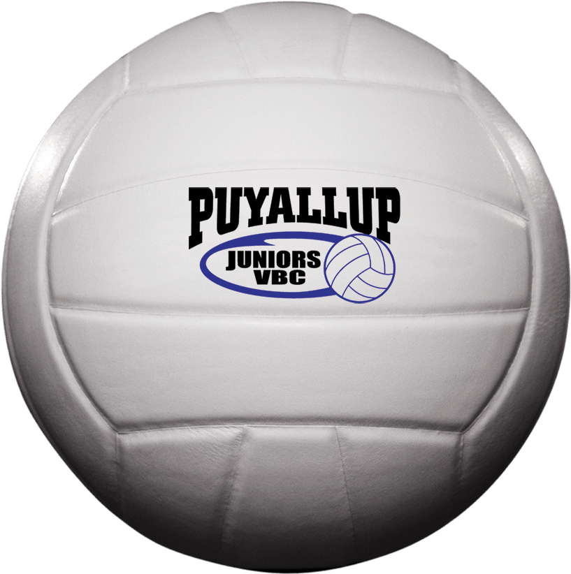 Custom Status X Leather Game Volleyball - Volleyball (900x900), Png Download