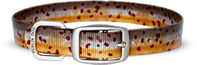 Brown Trout - Brook Trout All Style-no Stink Koa Collars By Dublin (660x660), Png Download