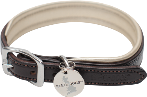 Gold Leather Collar Gold Leather Collar - Isle Of Dogs Collar 20-inch Gold (500x500), Png Download
