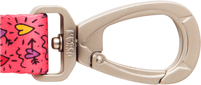 Previousnext - Leash (881x588), Png Download