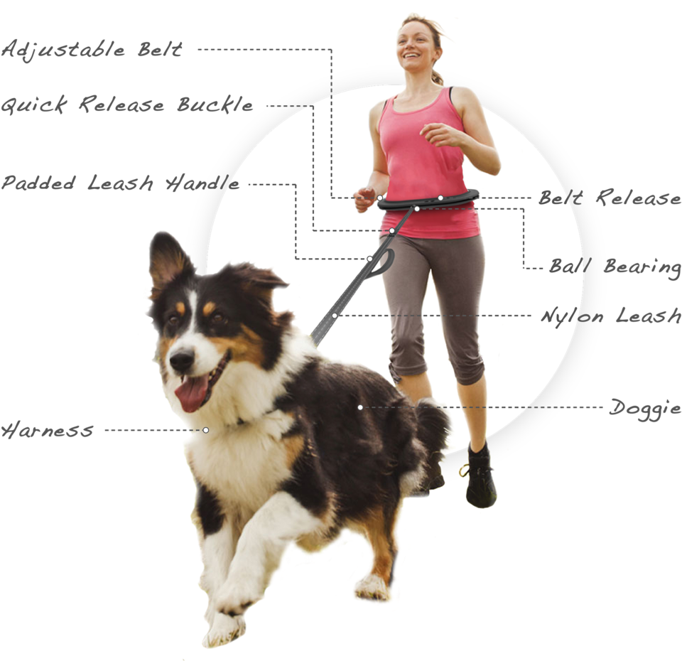 Belt2-02 - Fitness Runner With Dog (1000x933), Png Download