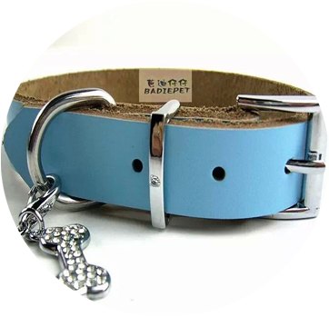 -1 - Blue Leather Collar Dog (400x400), Png Download