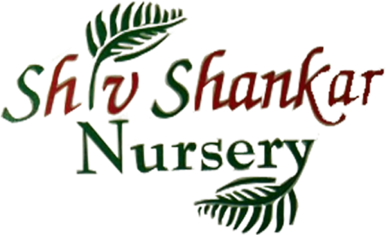 Logo (600x400), Png Download