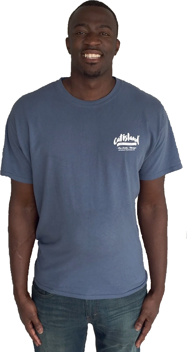 Load Image Into Gallery Viewer, Cat Island T-shirt (809x1494), Png Download