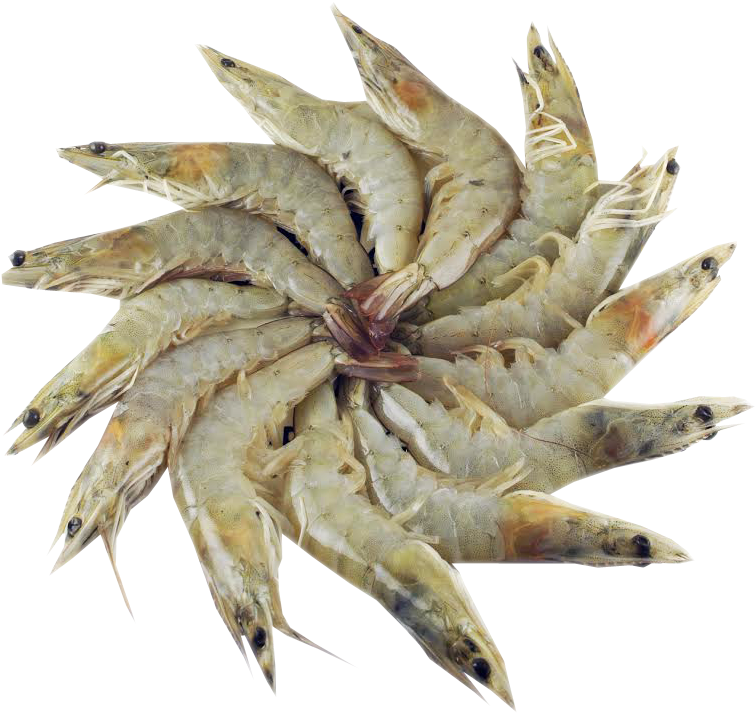 Image01 - Seafood (759x785), Png Download