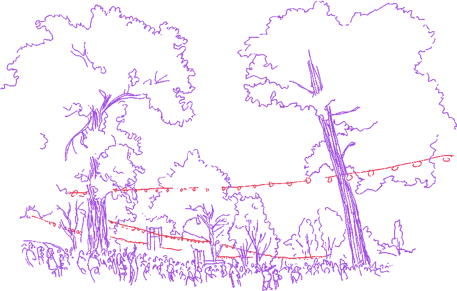 More About The Ballot - Ballot (1000x698), Png Download