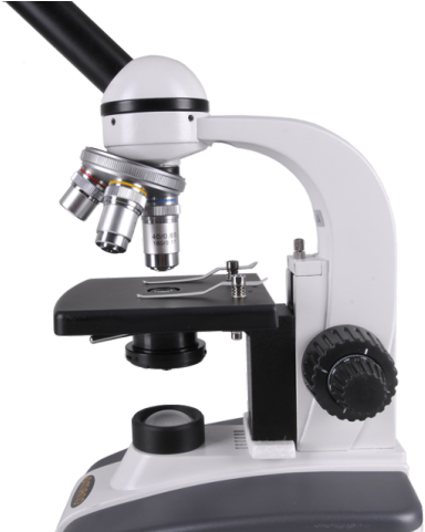 Microscope Png Transparent Images - Metropolis Pathology (640x480), Png Download