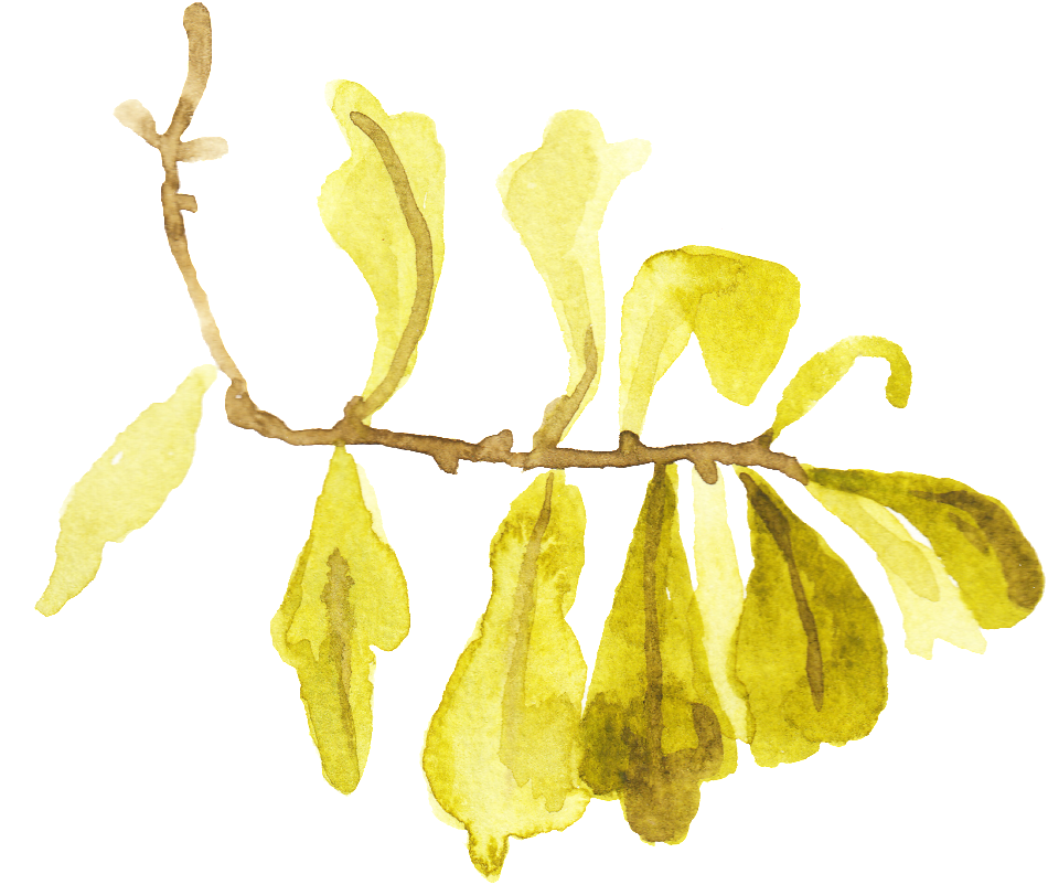 Dry Yellow Leaf Transparent Decorative - Clip Art (1024x885), Png Download