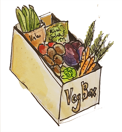 Veg Box 2 - Falkland Kitchen Farm (400x434), Png Download