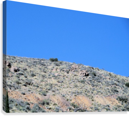 Rocks And Plants On The Mountain Side Canvas Print - Outcrop (429x386), Png Download