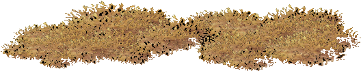Grass (527x527), Png Download