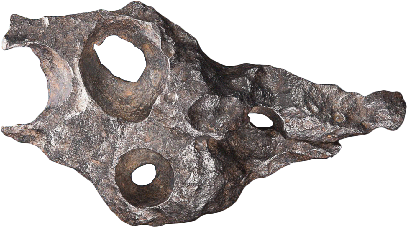No, It's Not An Alien, But It Is From Outer Space - Meteorite (1487x900), Png Download