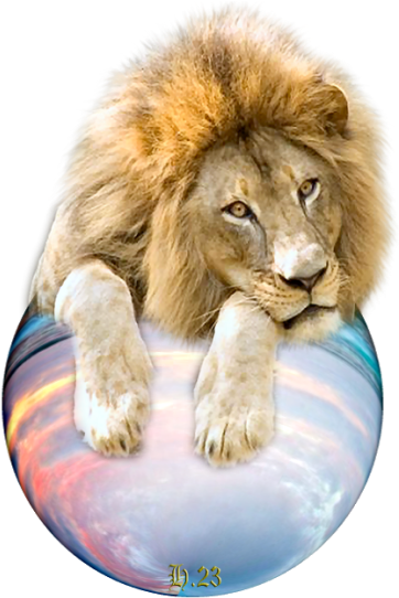 Wir Sekilleri (450x566), Png Download