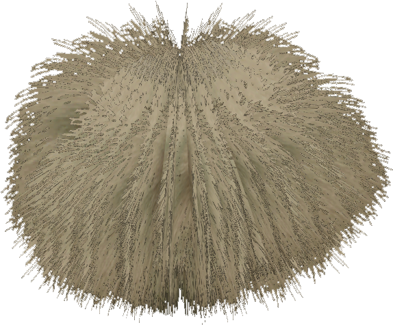 Grass - Wiki (573x573), Png Download