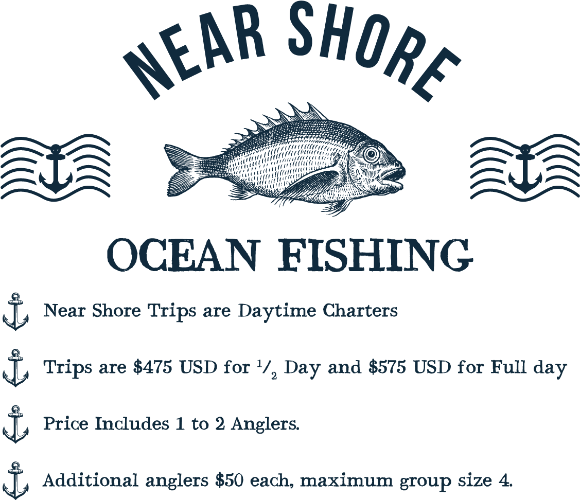 Near Shore Ocean Fishing These Are Daytime Charters, - Stampers Anonymous Tim Holtz Cling Stamps 7"x8.5"-sea (1240x1001), Png Download