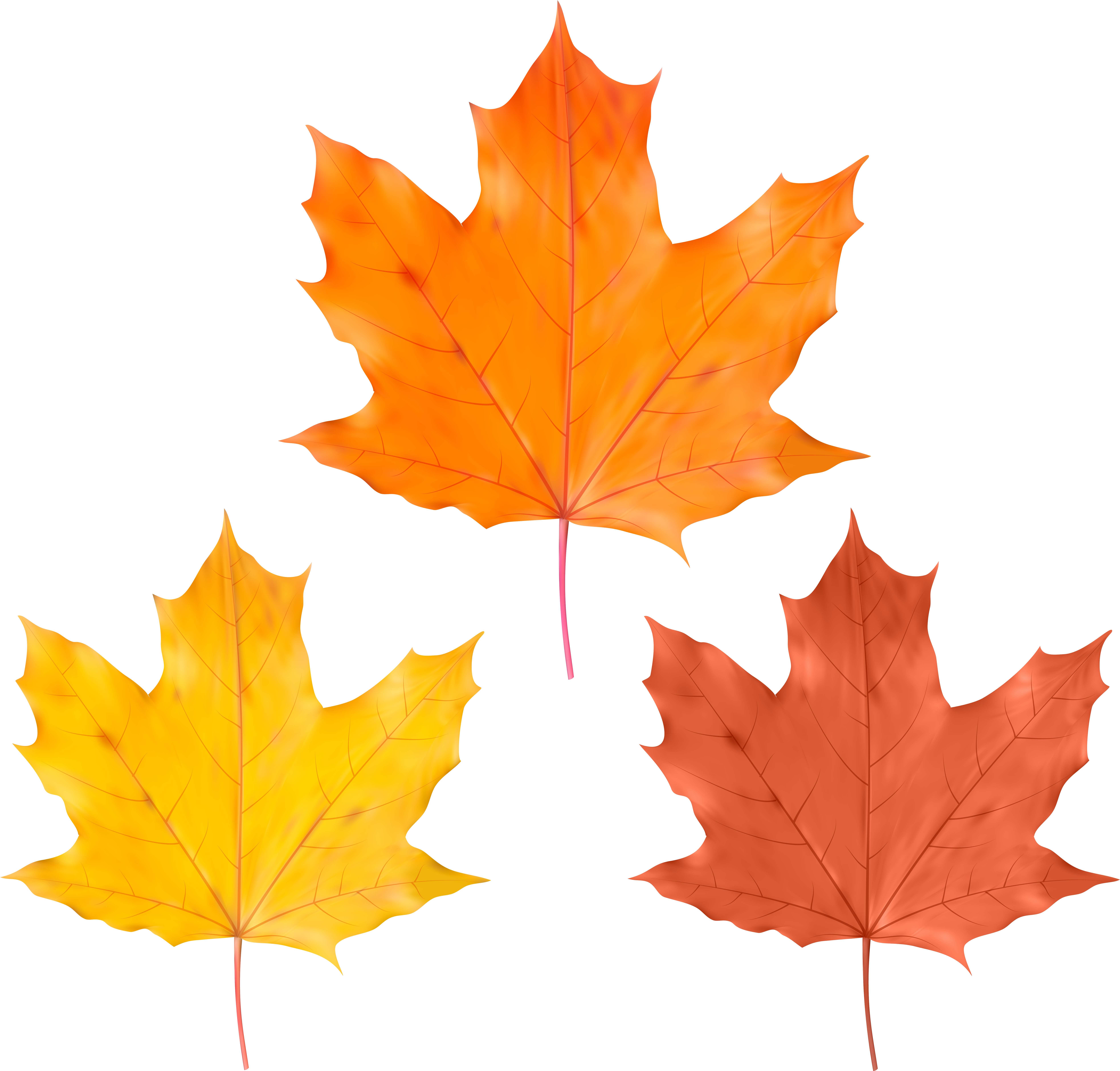 Yellow Leaf Png (8000x7592), Png Download