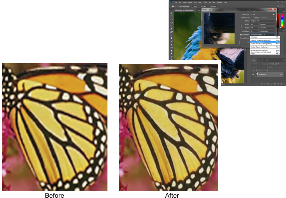 Preserve Details - Life Of A Butterfly, Level 5 [book] (975x692), Png Download