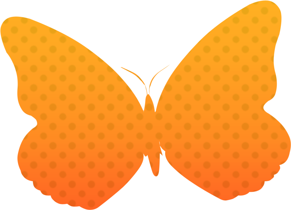 Orange Butterfly Png - Portable Network Graphics (1024x768), Png Download