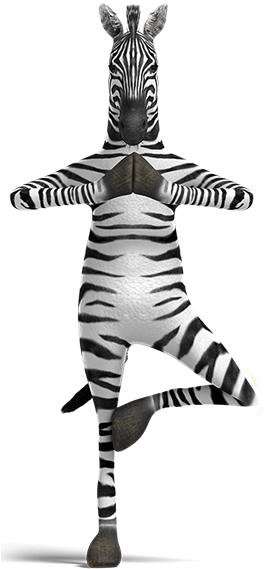 Zebra - Zebra Zen (266x600), Png Download