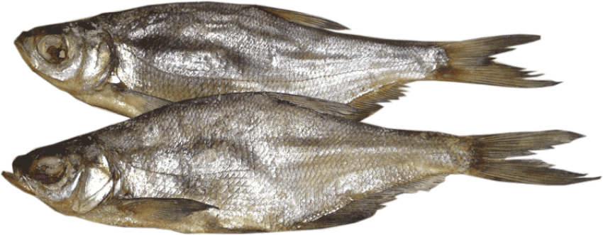 Free Png Fish Png Images Transparent - Вяленая Рыба Пнг (850x331), Png Download