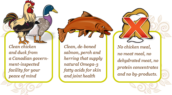 Comparing Carna4 - Cartoon (555x308), Png Download