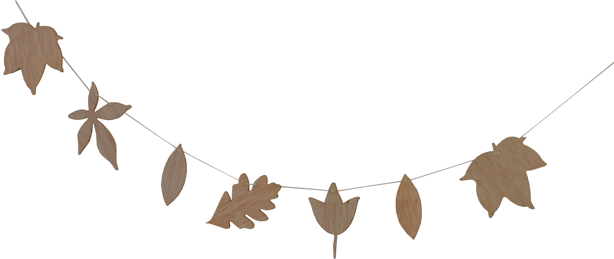 D Wdn G 001 001 01 - Earrings (1280x960), Png Download